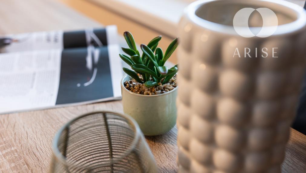 ARISE | Predaj 3-izbový byt v Petržalke