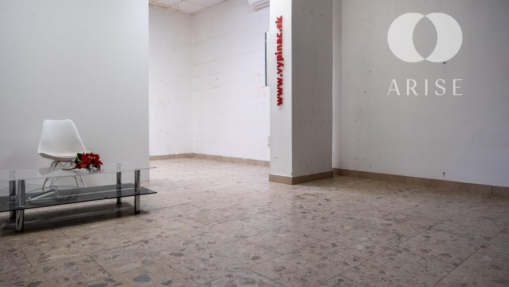 ARISE | Predaj obchodný a skladový priestor v Petržalke.