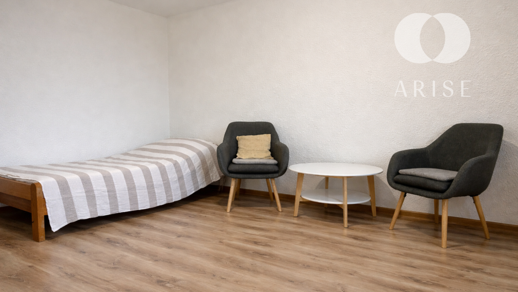 ARISE | Prenájom 1-izbový byt v Novákoch
