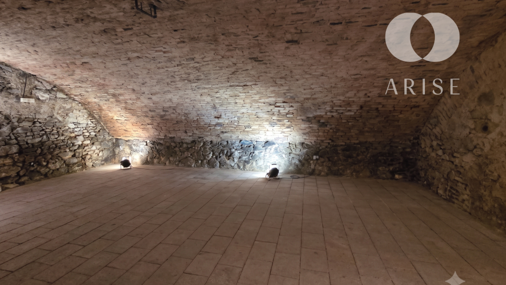 ARISE | Predaj historickej pivnice