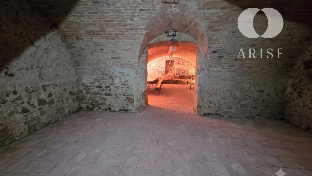 ARISE | Predaj historickej pivnice